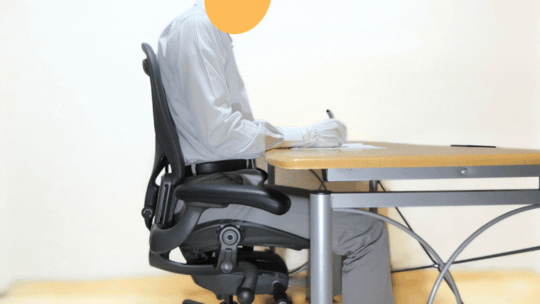 アーロンチェアリマスタードの様々な姿勢