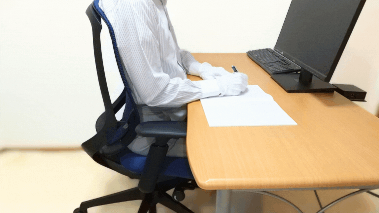 シルフィーの様々な姿勢