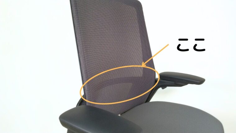 フィノラの腰部のサポート