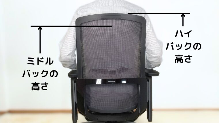 フィノラのハイバックとミドルバックの高さ比較